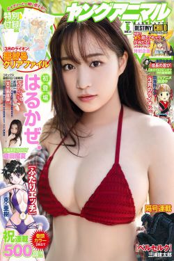 微信文件传输助手